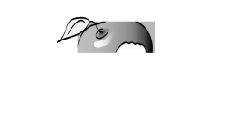 New York School Nutrition Association-1